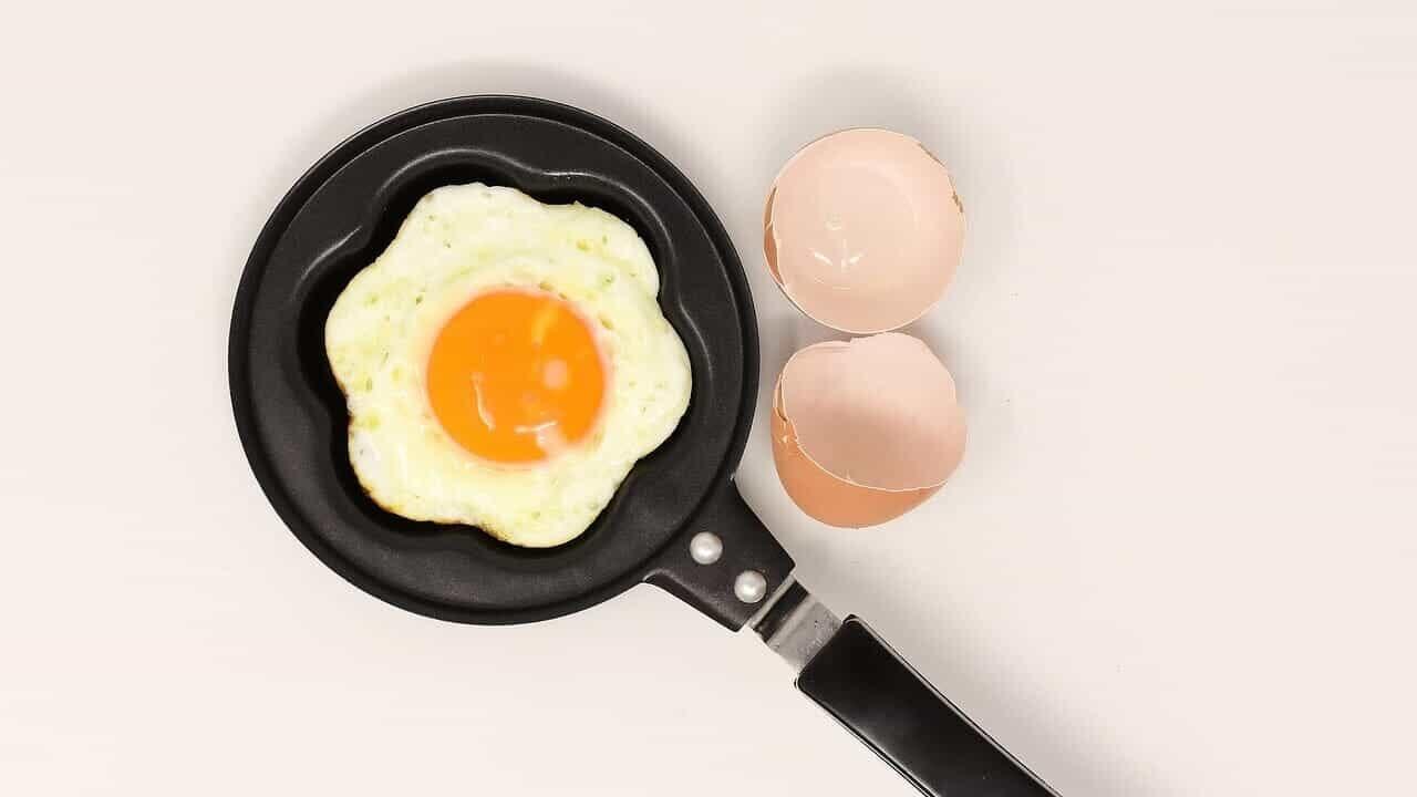 Heres what can happen to your body if you eat too much protein