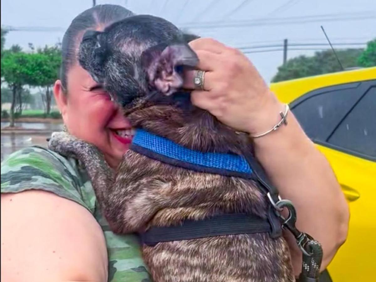 Texas, trova il cane dopo otto anni a 480 km da casa: è scomparso durante l'urag...