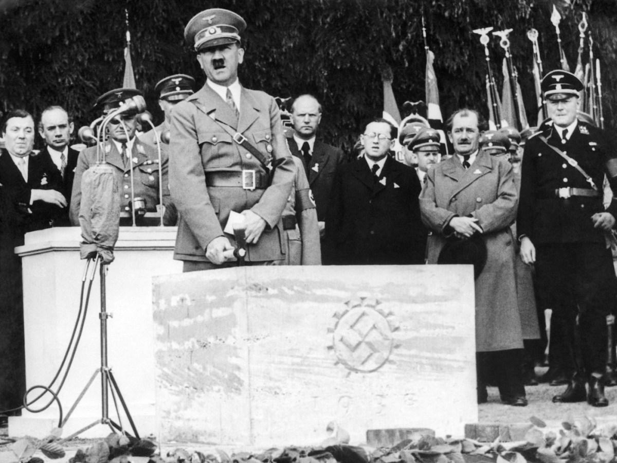 Il pene di Hitler era sottosviluppato, il DNA lo dimostra - TVS