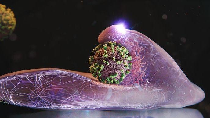 Scoperto il meccanismo segreto con cui il virus dell'influenza convince le cellule a trasportarsi pe...