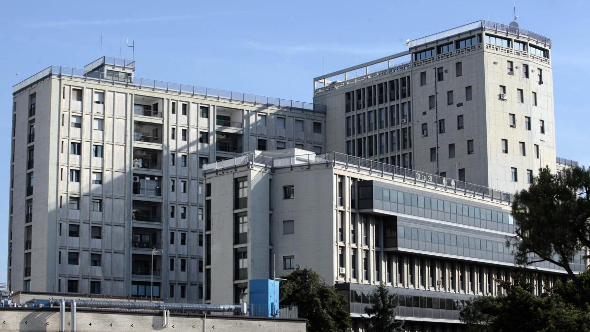 L'influenza di tipo K provoca esplosione di polmoniti in Veneto: 